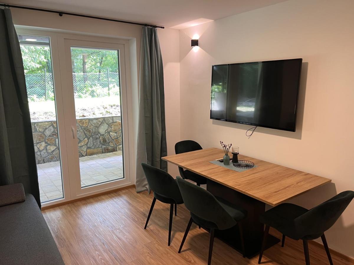 Prenocisca Mraz Apartment Velenje Exterior photo